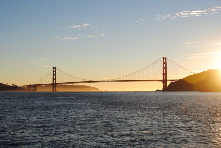 Pandemic Aftershocks: Examining the Decline in Healthcare Utilization in California During COVID-19