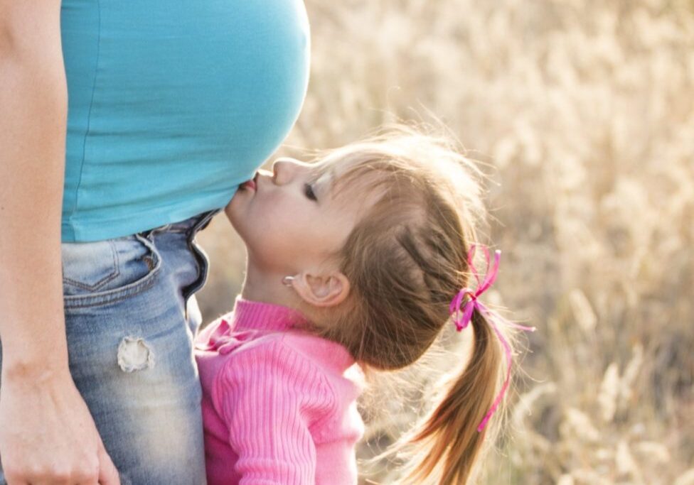 pexels-pixabay-160776