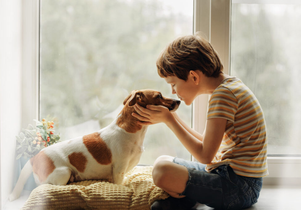 Little,Boy,Kisses,The,Dog,In,Nose,On,The,Window.