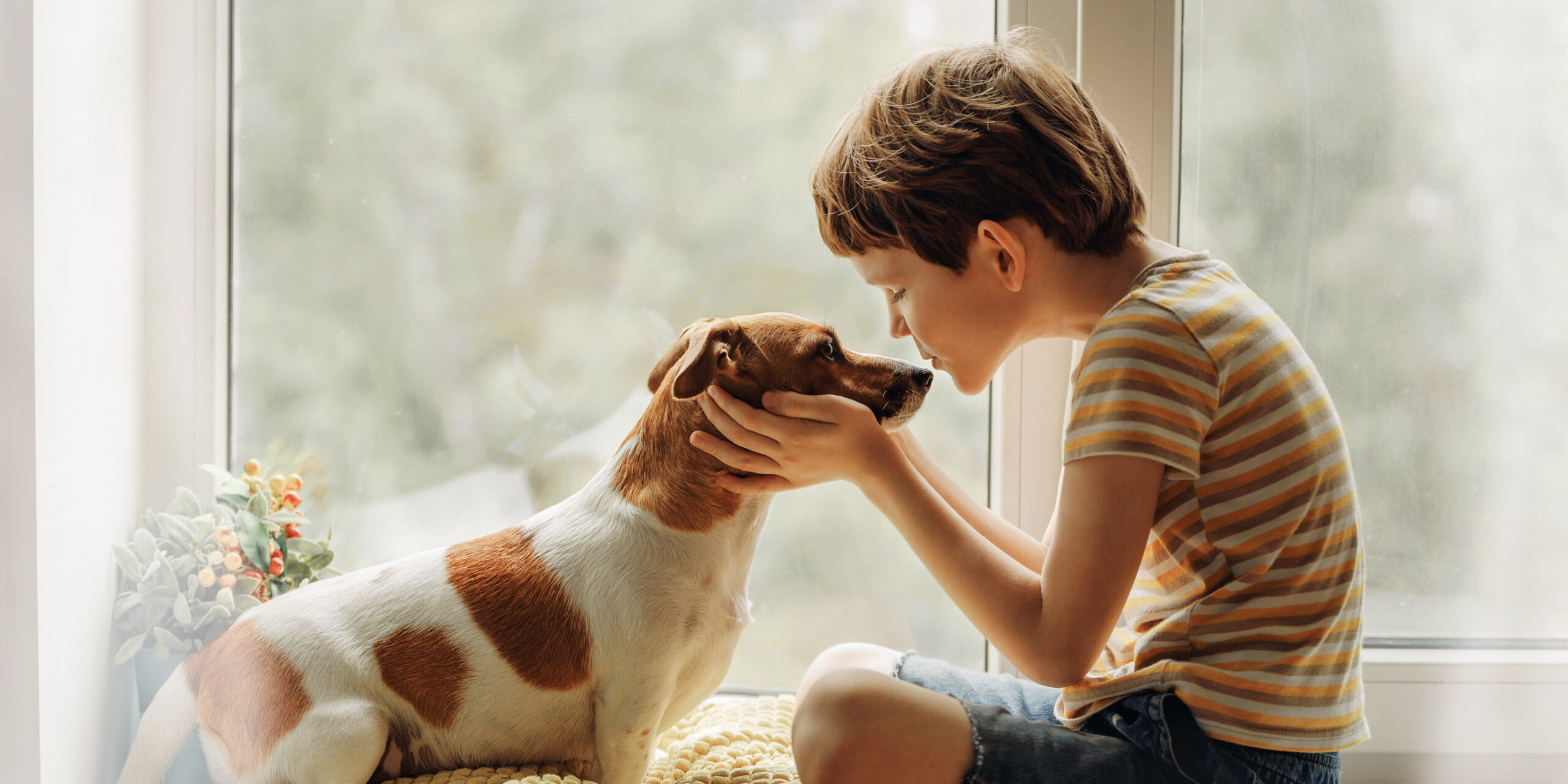 Little,Boy,Kisses,The,Dog,In,Nose,On,The,Window.