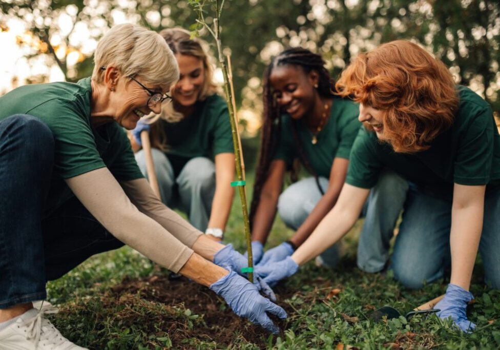 Happy,And,Cheerful,Volunteers,Wearing,Green,T,Shirts,Are,Planting