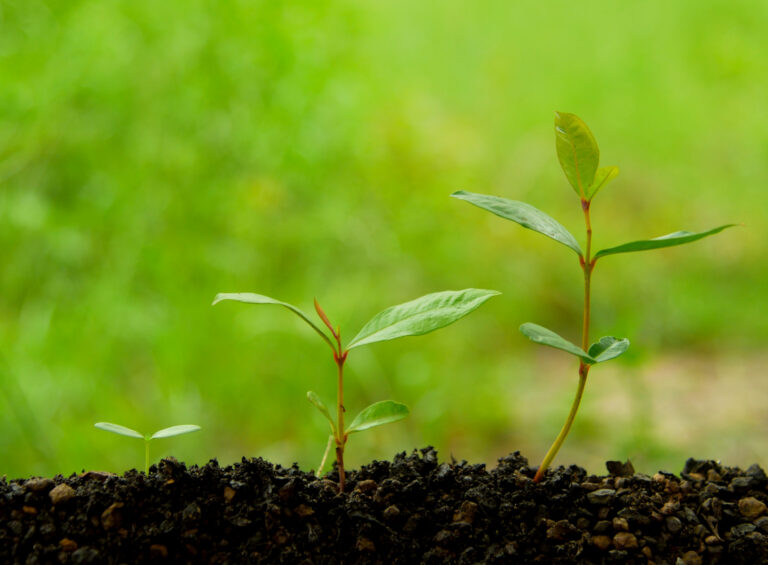 Manifest MedEx Growing Quickly as California’s Nonprofit Health Data Utility